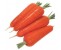 http://www.lygclz.com/image/cache/data/u=4171575367,3890267844&fm=21&gp=0-380x380.jpg